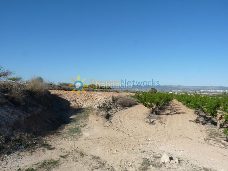 Foto b88438b7-2842-4b27-9a94-b3ddd7f13477. Finca rústica terreno de venta en belgida en Bèlgida
