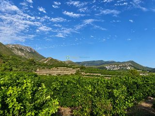 Finca rústica a Pego. Se vende parcela rústica de 10.787 m² situada a tan solo 2 km de