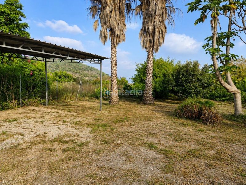 Foto 619065b6-d042-4a80-9bec-982b58652f05. Finca rústica a Piles
