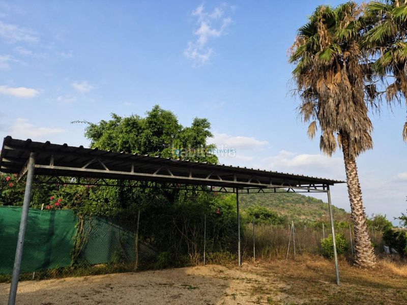 Foto a9ddc151-2f5f-4a65-ab0b-c3720693aa81. Finca rústica a Piles