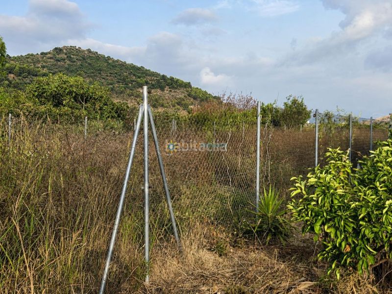 Foto ba501e61-90d8-4e14-9465-a3a0dcffed70. Finca rústica a Piles