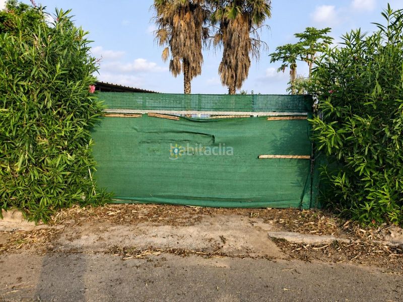 Foto c1bdb746-bf7b-479f-bab1-4cfd0024f5db. Finca rústica a Piles