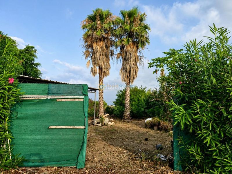 Foto f9f12653-1842-4ff5-9fac-05eaf5f003c9. Finca rústica a Piles