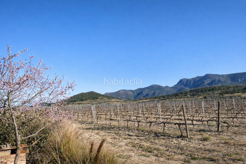 Foto 9d50abdf-329c-44b3-a88c-b8b6a8b73564. Finca rústica a Castelló de Rugat