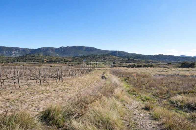 Foto bc646641-9e8d-4767-9ded-a893a2f57f86. Finca rústica a Castelló de Rugat