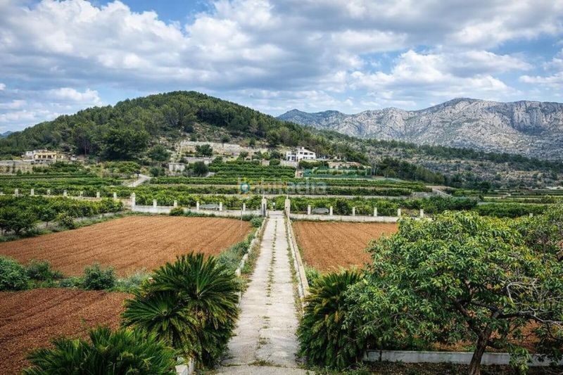 Foto e12a53ca-5709-41f1-b60f-f6e30dea2964. Masía villa a la venta en Benifairó de la Valldigna