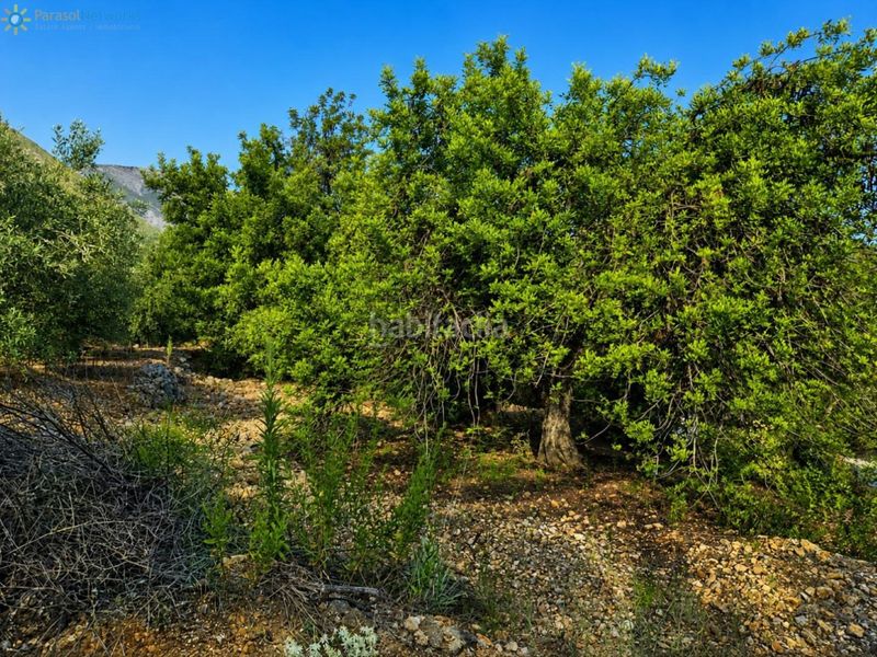 Foto 45b0f77b-c1c5-4d27-b852-a49da17cd9c9. Finca rústica a Atzúbia (L´)