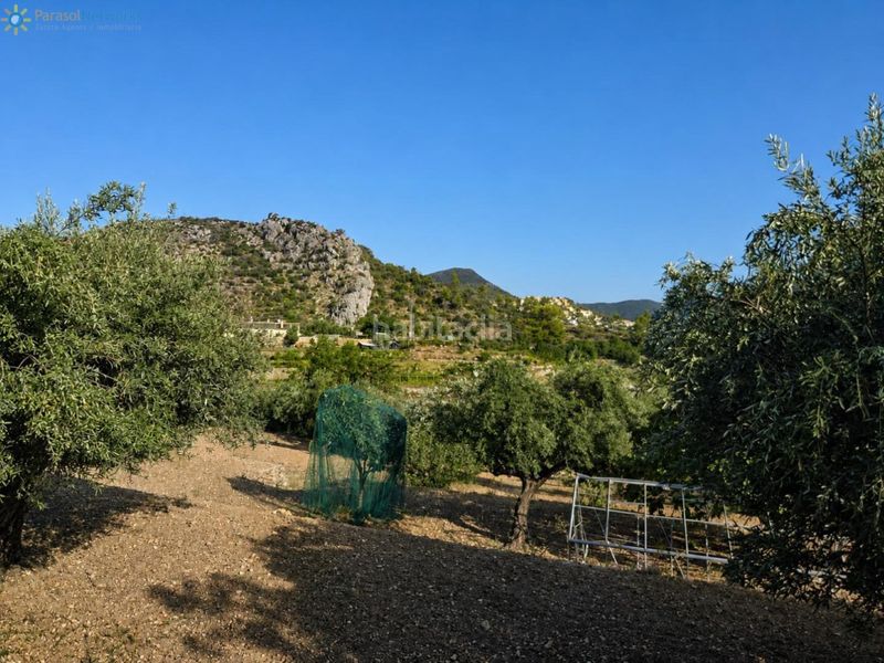 Foto b56765da-f817-479a-b994-236409ad23f3. Finca rústica a Atzúbia (L´)