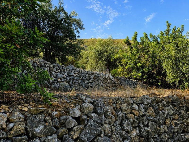 Foto bf0f7e1b-3759-4b95-809f-6a8dbb883c3a. Finca rústica a Atzúbia (L´)