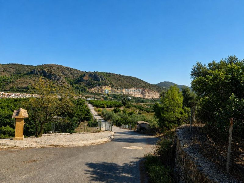 Foto 0cb3ef43-ac92-4077-8353-c1b98497df8f. Finca rústica a Atzúbia (L´)