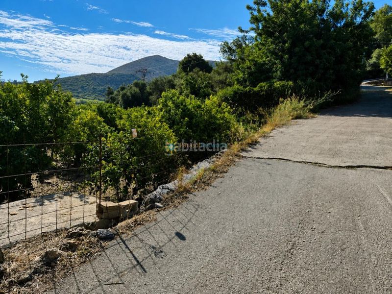 Foto 8b9a14c1-17aa-4c41-8445-89056a3852e6. Finca rústica a Atzúbia (L´)