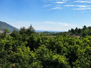Finca rústica a Atzúbia (L´)