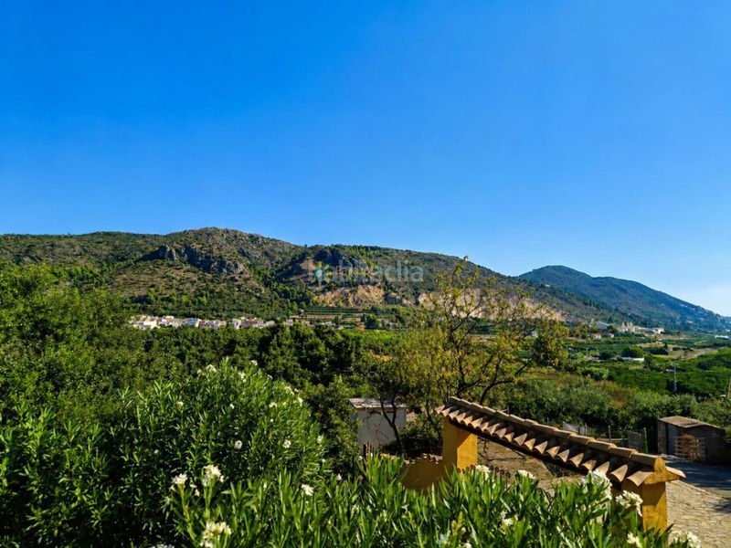 Foto f1441bce-9269-42f4-acd0-dbadb9a6a947. Finca rústica a Atzúbia (L´)