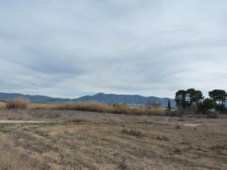 Rural plot in Benissuera. Terreno en venta en alfarrasi
