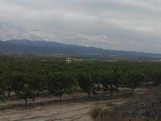Fondo rustico in Benigànim. Terreno con casita a la venta en beniganim