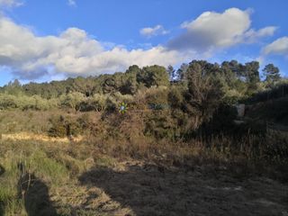 Finca rústica a Benigànim. Terreno en venta en beniganim