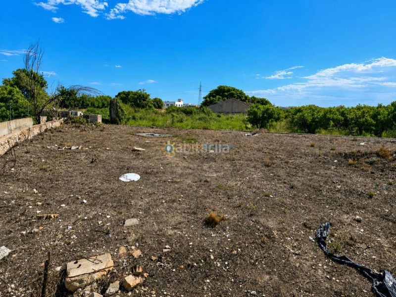 Foto bcf51985-e003-492d-bb00-253566e9a930. Finca rústica a Piles