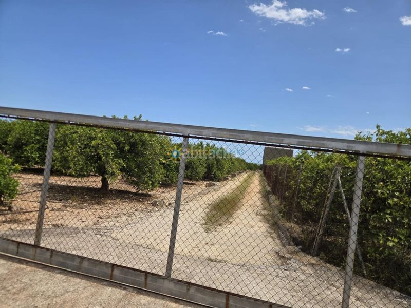 Foto ab1a8b94-5a8d-48ec-807d-8c8556d8c08b. Finca rústica a Oliva pueblo Oliva