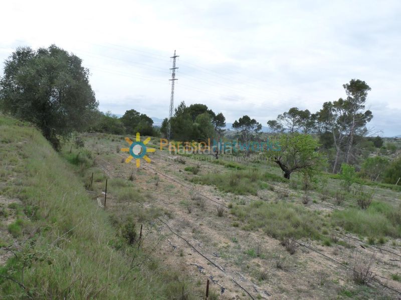 Foto 2b4e67d0-7984-479f-9adb-56fde7cccab0. Finca rústica a Castelló de Rugat