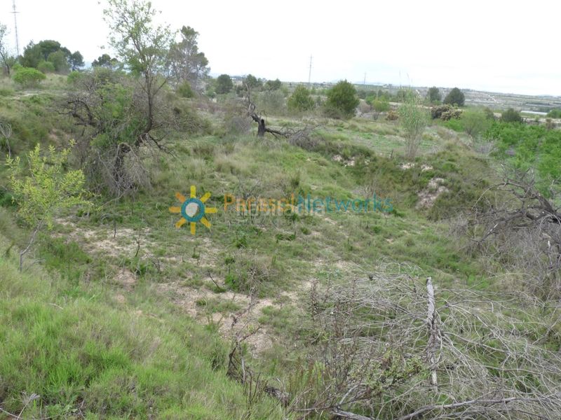 Foto 30e122a0-4217-404c-ab4c-fe0434e0a34b. Finca rústica a Castelló de Rugat