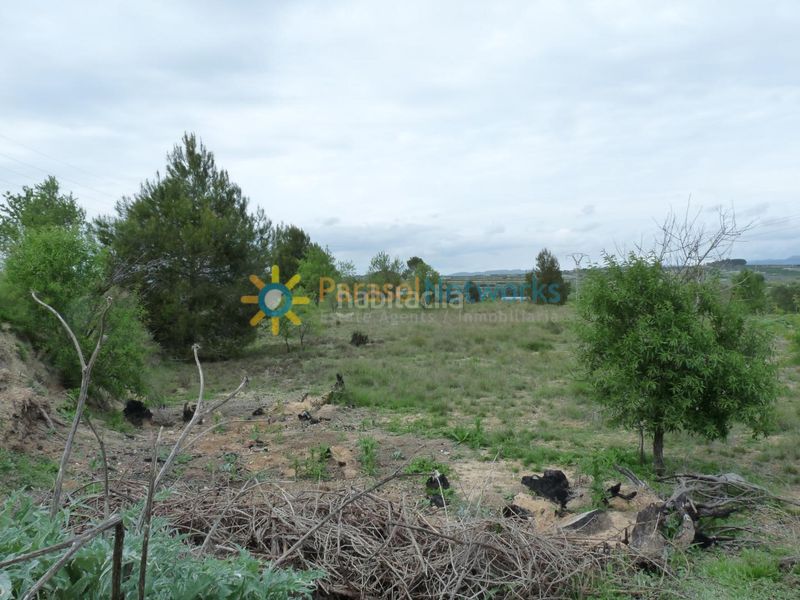 Foto 403529e0-5d62-4a68-b083-8d411aea85f1. Finca rústica a Castelló de Rugat