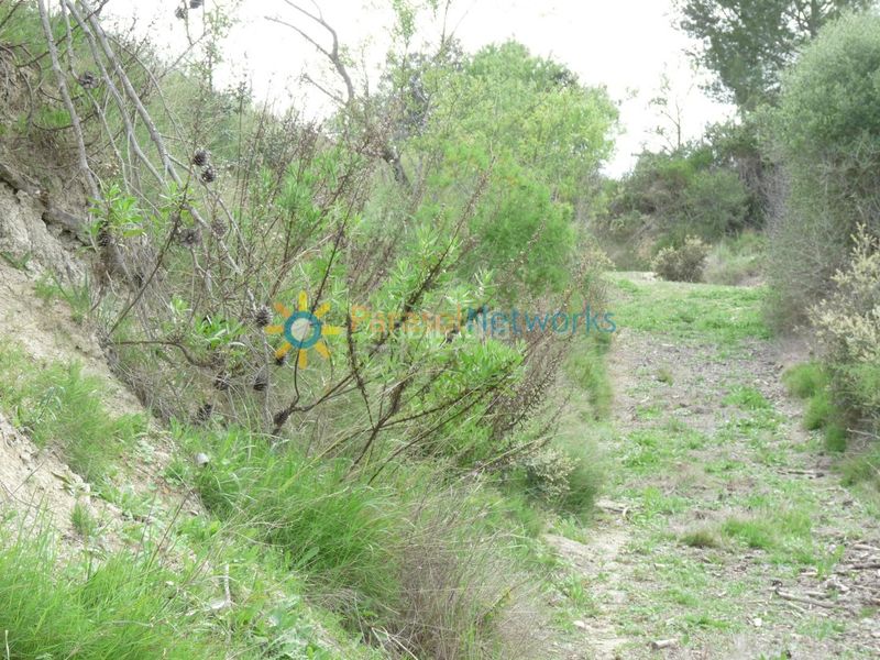 Foto 43220a53-afb0-4279-ac84-01bb03802075. Finca rústica a Castelló de Rugat