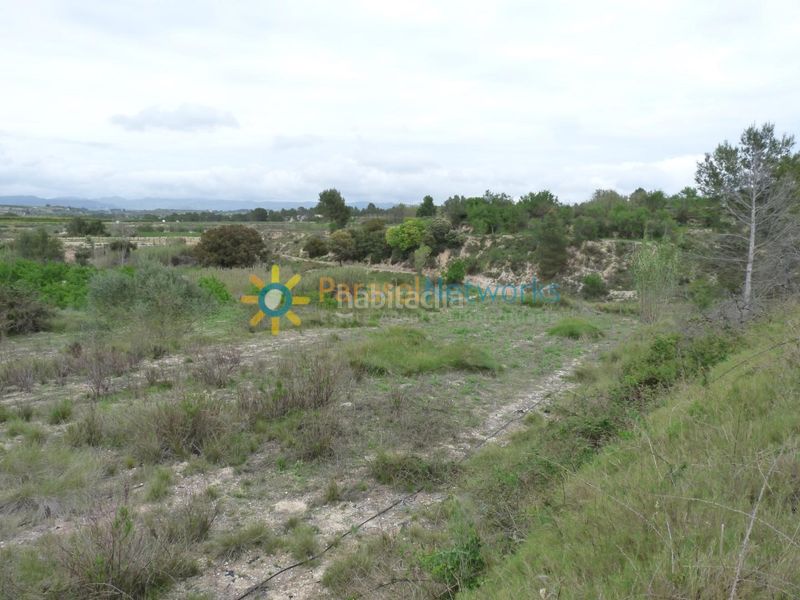 Foto 63a34dcb-2a68-4594-b060-f38defd7a274. Finca rústica a Castelló de Rugat