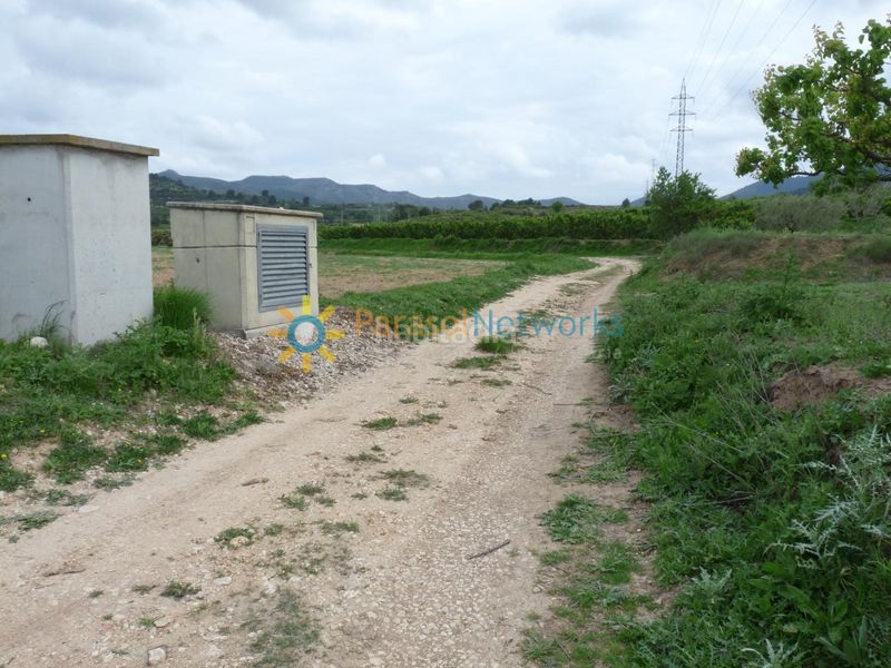 Foto 72888a47-6195-4ff5-b339-a9c1ac9543ee. Finca rústica a Castelló de Rugat