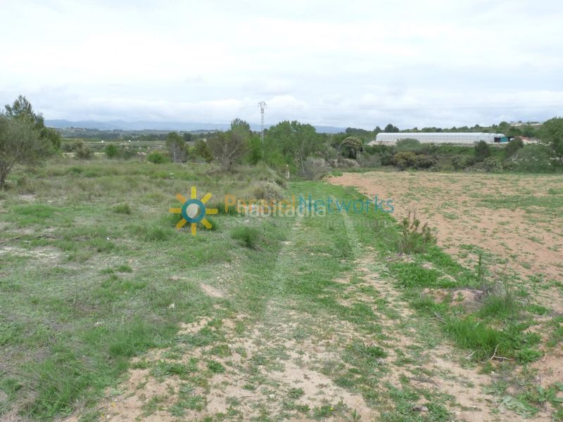 Foto cff4fc96-5752-4c65-a740-2c654fe92b03. Finca rústica a Castelló de Rugat