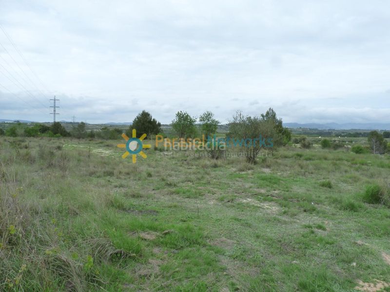 Foto ee285268-6f8e-48f3-8576-5288436ee1bd. Finca rústica a Castelló de Rugat