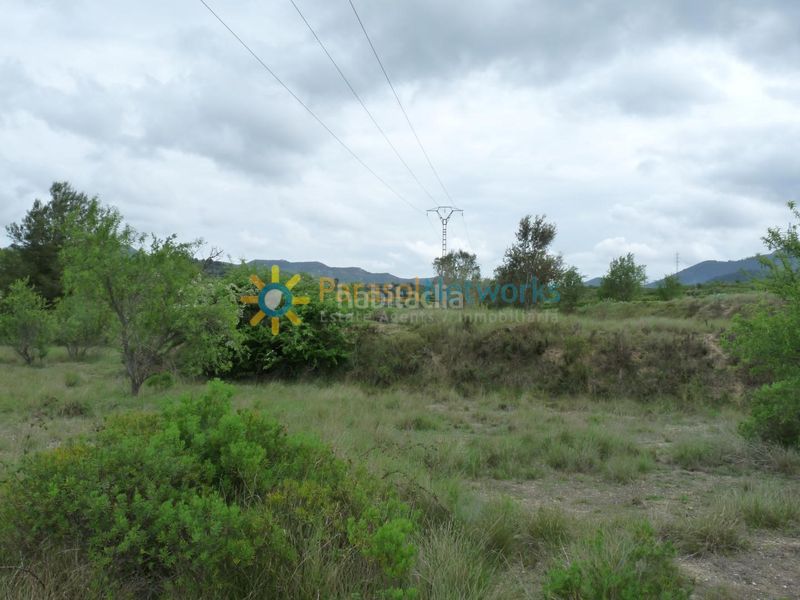 Foto f3b3ba8b-60dd-4071-bb3d-09a3e7ae0c24. Finca rústica a Castelló de Rugat