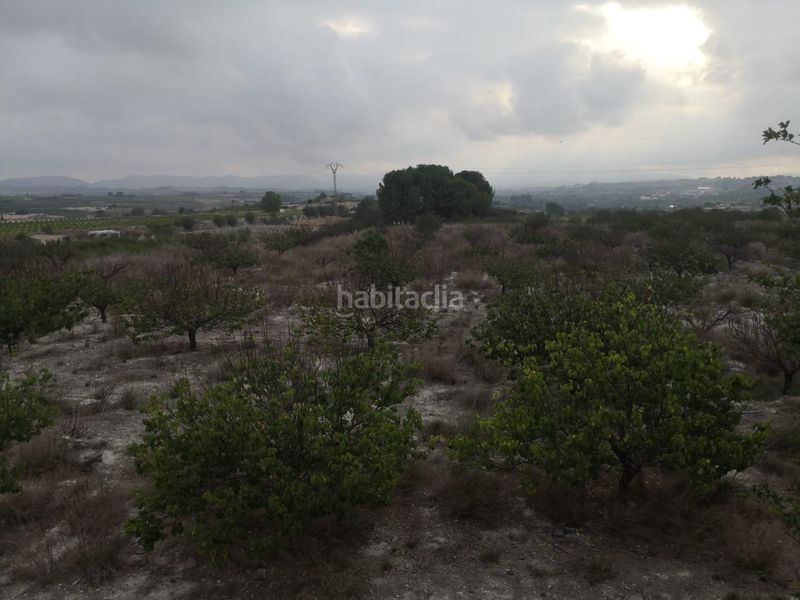 Foto 170f5103-dcd9-4576-bf37-74837714b9d7. Masia amb aparcament a Albaida
