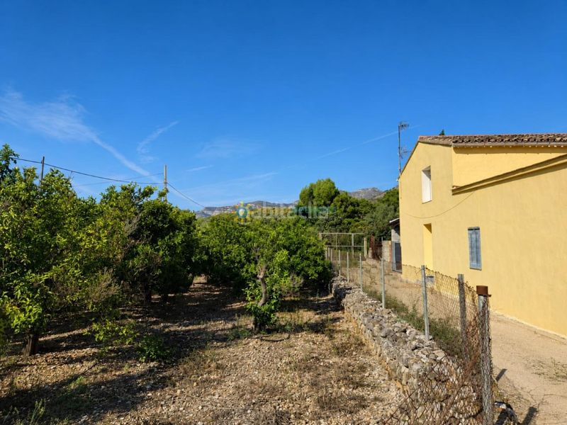 Foto 7d09a951-8ac4-4b09-a882-3fb6f5303281. Chalet  urbano en marchuquera alta, gandía, en Palma de Gandía
