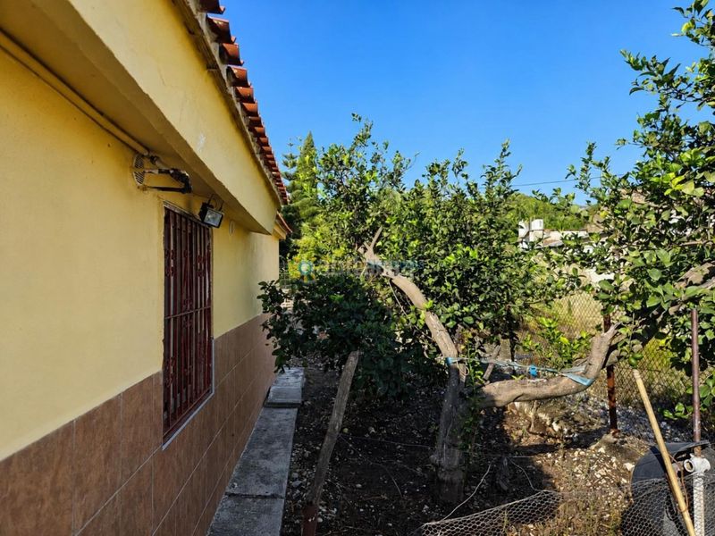 Foto 8a8f23e9-0108-4ff3-b2e2-efe0a6953f80. Chalet  urbano en marchuquera alta, gandía, en Palma de Gandía