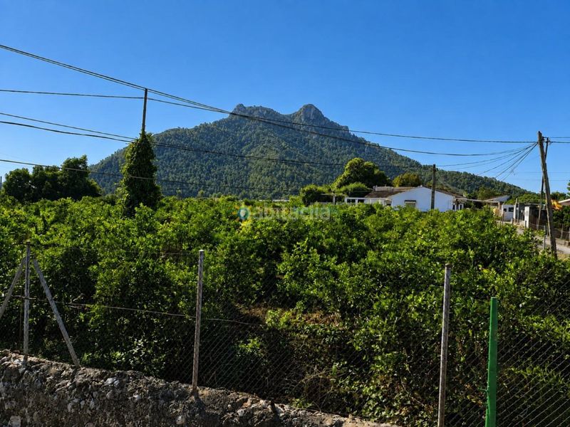 Foto d6f8bcbd-2ce4-4127-b3fc-436059be7813. Chalet  urbano en marchuquera alta, gandía, en Palma de Gandía
