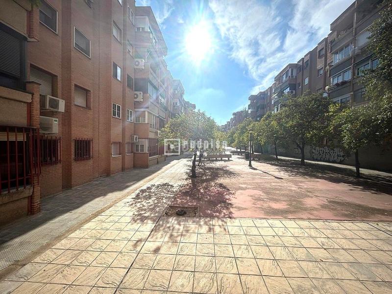 Foto adb67f24-2f74-4b65-b625-70f3d7a0269b. Pis amb calefacció a Parque Roma-Coronas San Fernando de Henares