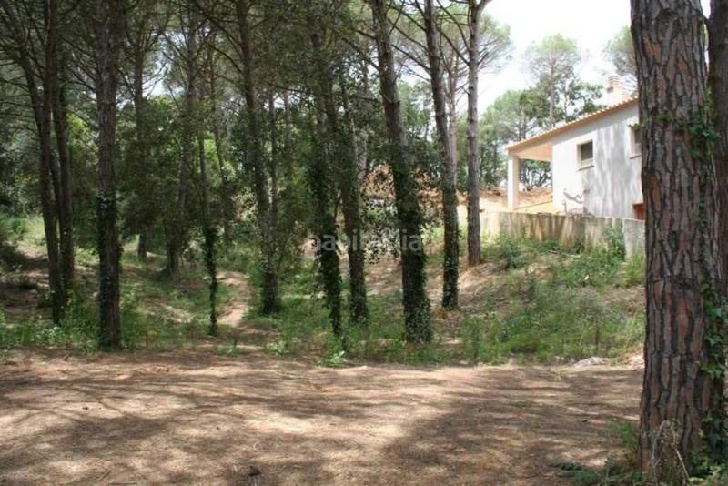 Foto fe70840d-0ebd-435a-9579-d06c11acefd9. Terreny residencial a avinguda la manxa 94 a Mas Pere-Río de Oro Calonge