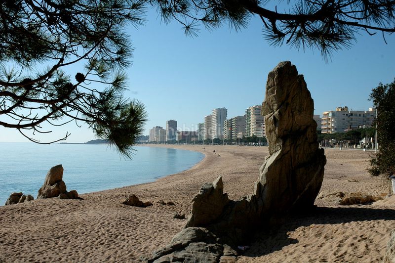 Foto 5f48b94c-b959-4306-b4c7-3e4152e963e9. Àtic amb calefacció a Puig Ses Forques - Torre Colomina Sant Antoni de Calonge
