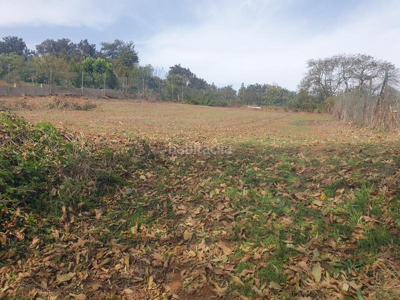 Foto 073c1b49-0768-4eb2-b822-809ab7c2f3e9. Terreno residenziale in La Esperanza - Llano del Moro Rosario (El)