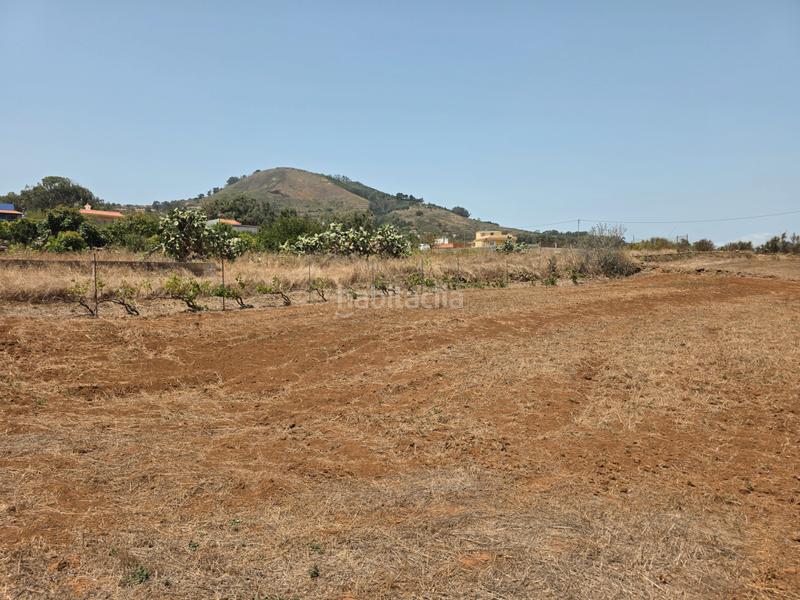 Foto 0785dc83-3738-4662-bad2-55d03c4c9040. Finca rústica vendo parcela rústica en La Esperanza - Llano del Moro Rosario (El)