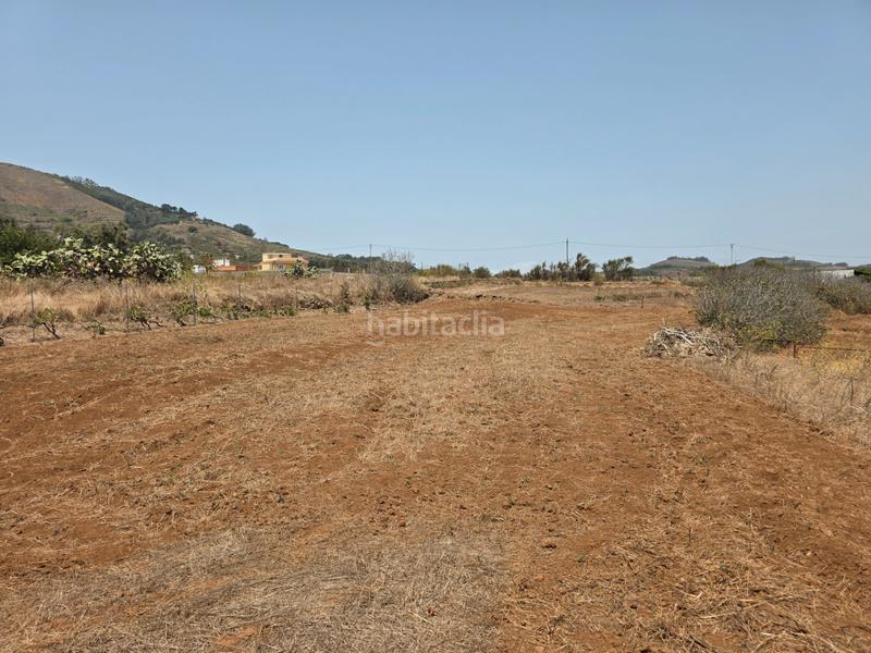 Foto 0d4b314f-8b9d-4ccc-9640-89cdeb2a9395. Finca rústica vendo parcela rústica en La Esperanza - Llano del Moro Rosario (El)