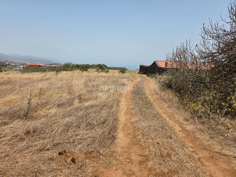 Foto 1000cce6-ac8e-42b1-95b5-0d7505e8173c. Finca rústica vendo parcela rústica en La Esperanza - Llano del Moro Rosario (El)