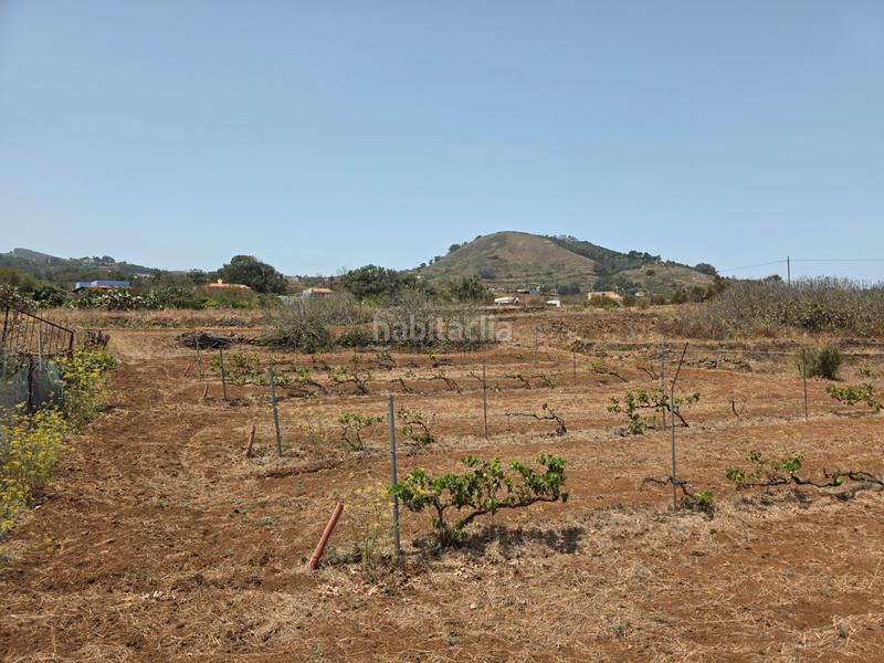 Foto 1a910ae9-8980-4a09-8cc2-4a0f66cecdd1. Finca rústica vendo parcela rústica en La Esperanza - Llano del Moro Rosario (El)