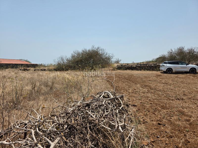 Foto 4a8e7a7d-e343-4a03-ba00-09b5d99d82a8. Finca rústica vendo parcela rústica en La Esperanza - Llano del Moro Rosario (El)