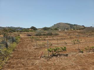 Rural plot in La Esperanza - Llano del Moro. Vendo parcela rústica