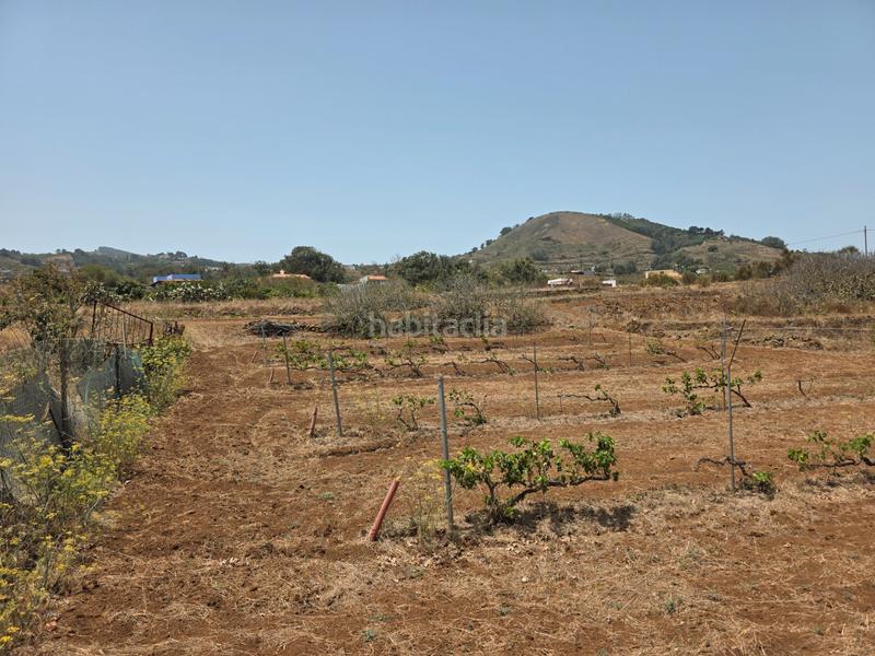 Foto b5f8779c-6ab7-4632-a553-18ad8d8ba1c8. Finca rústica vendo parcela rústica en La Esperanza - Llano del Moro Rosario (El)