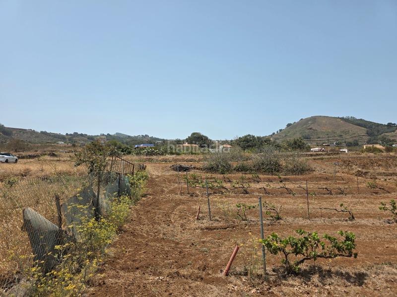 Foto c0f8caad-4eed-4d34-9598-b839857e01f7. Finca rústica vendo parcela rústica en La Esperanza - Llano del Moro Rosario (El)