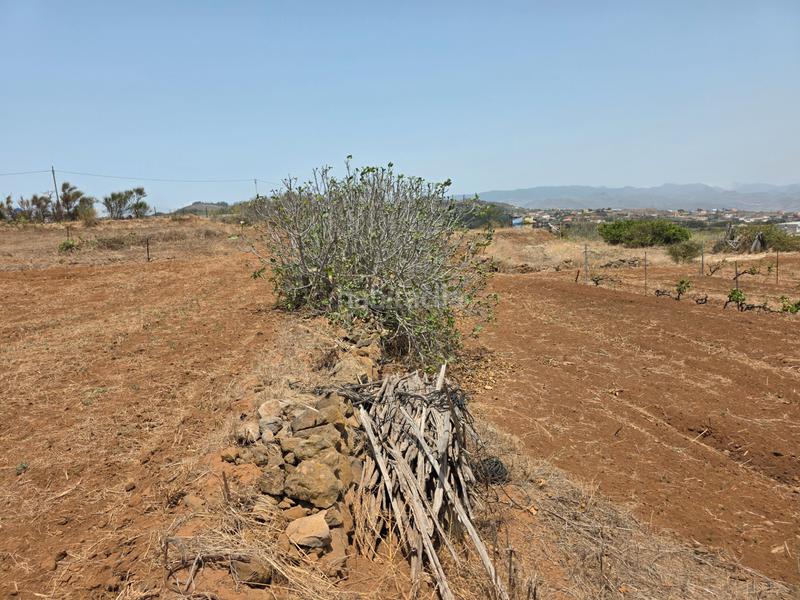 Foto cc7dbbf6-3354-4346-b81c-db67fd4cac90. Finca rústica vendo parcela rústica en La Esperanza - Llano del Moro Rosario (El)