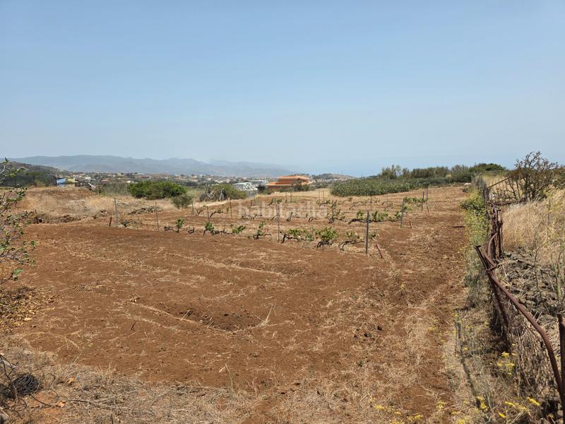 Foto db46d922-98ed-47d2-8f8b-f25ec943df77. Finca rústica vendo parcela rústica en La Esperanza - Llano del Moro Rosario (El)