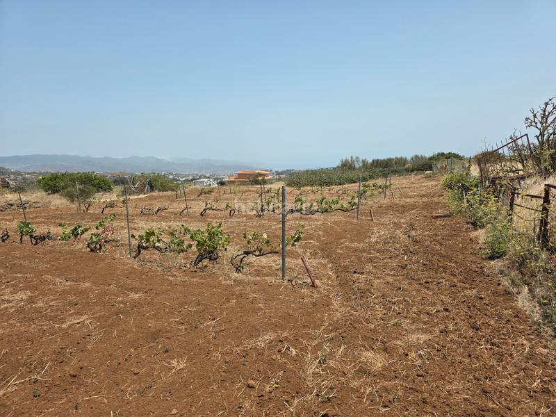 Foto edb0b7c7-f92c-4b3e-98e0-362e02faba0a. Finca rústica vendo parcela rústica en La Esperanza - Llano del Moro Rosario (El)